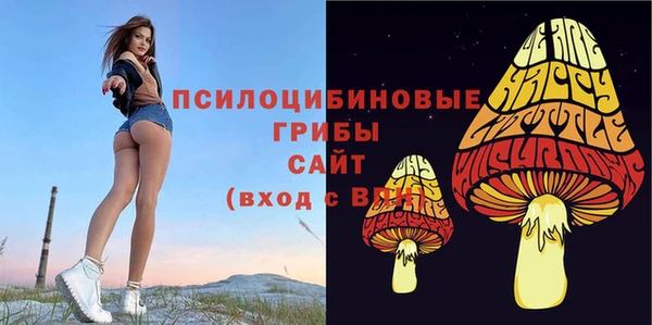 не бодяженный Зеленокумск