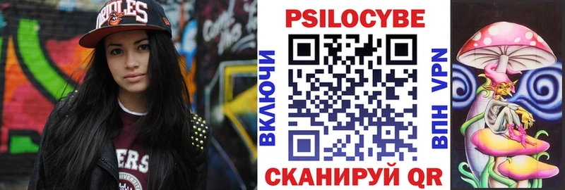 Купить закладки  Алагир  Галлюциногенные грибы Magic Shrooms 